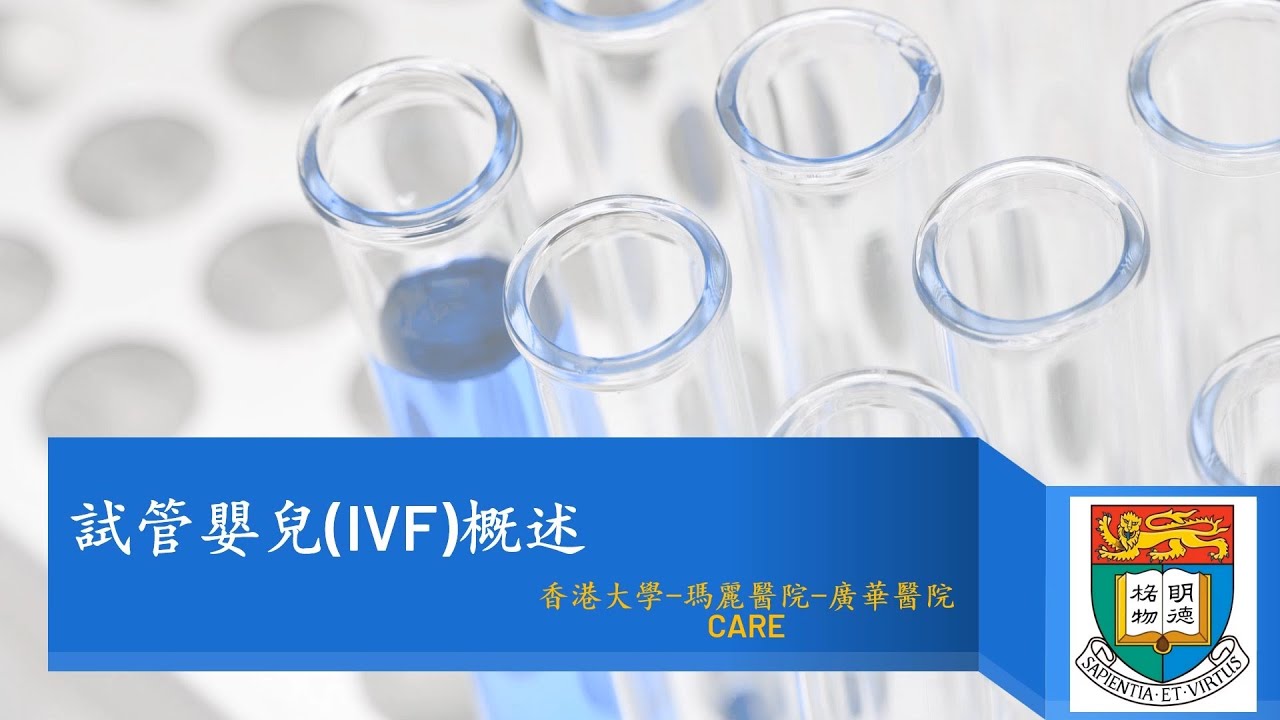 IVF輔導（廣東話） 1   試管嬰兒IVF概述