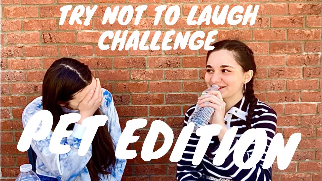 Try Not to Laugh Challenge | Pet Edition