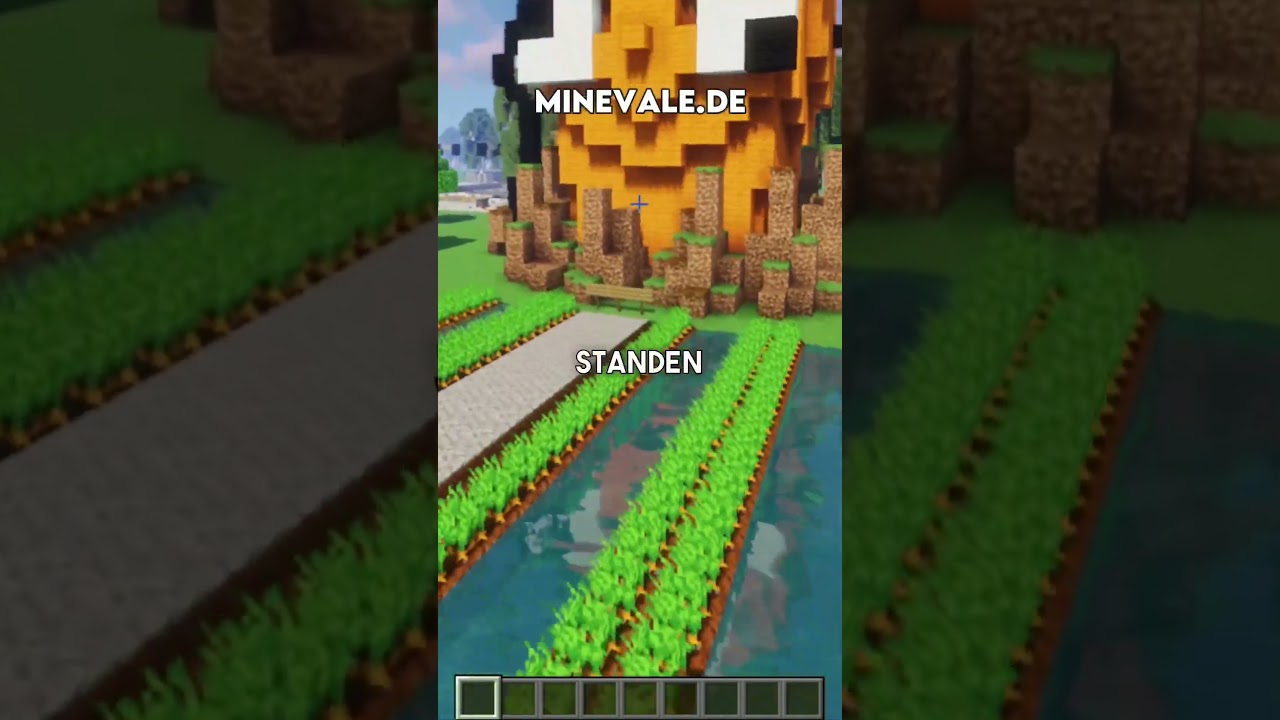 I FIND a CARROT FARM on my MINECRAFT SERVER! 🙈😂 #citybuild #minecraft #shorts