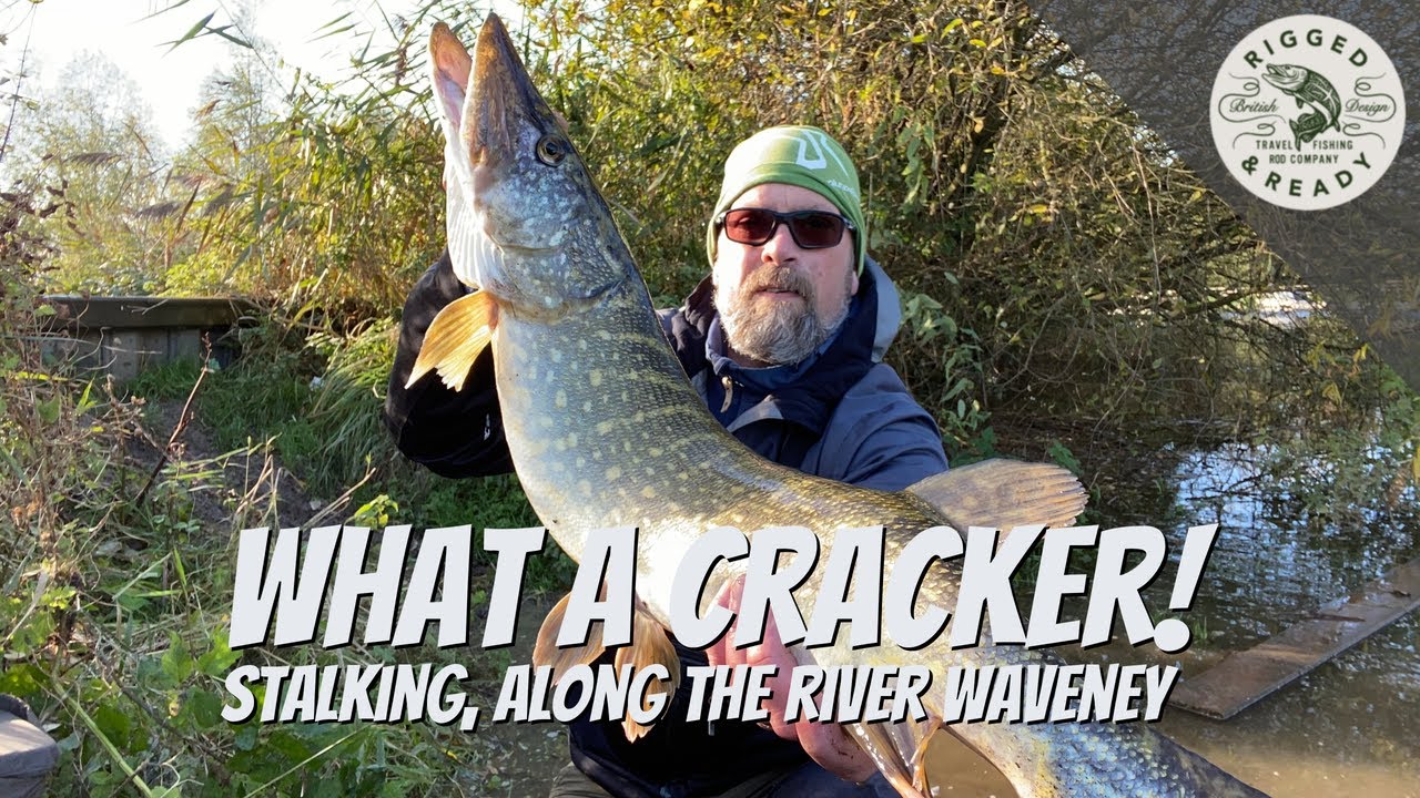 Lure Fishing with Strike Pro Guppie | Double Figure Pike from the River Waveney, Beccles.