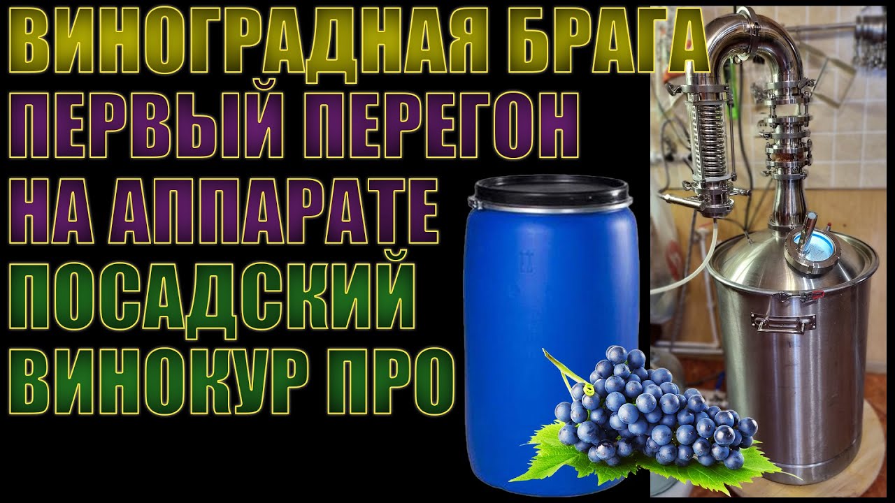ВИНОГРАДНАЯ БРАГА | ПЕРВЫЙ ПЕРЕГОН НА САМОГОННОМ АППАРАТЕ 