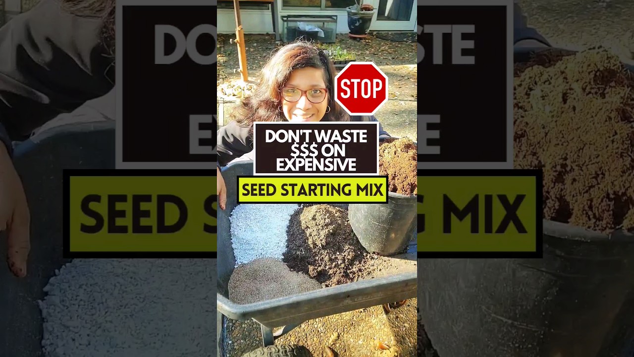 Here's how I make my own SEED STARTING MIX
