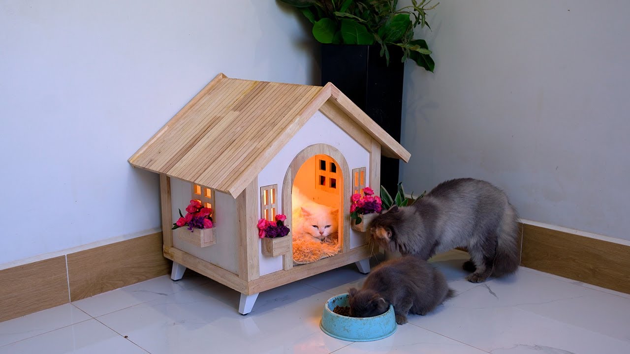 I BUILT A $20,000 DREAM CAT HOUSE!!