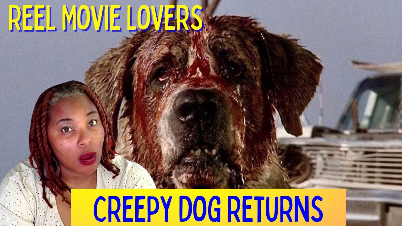 Cujo Reboot: Stephen King's classic gets a Netflix makeover | RML Clip #stephenking #remake #horror