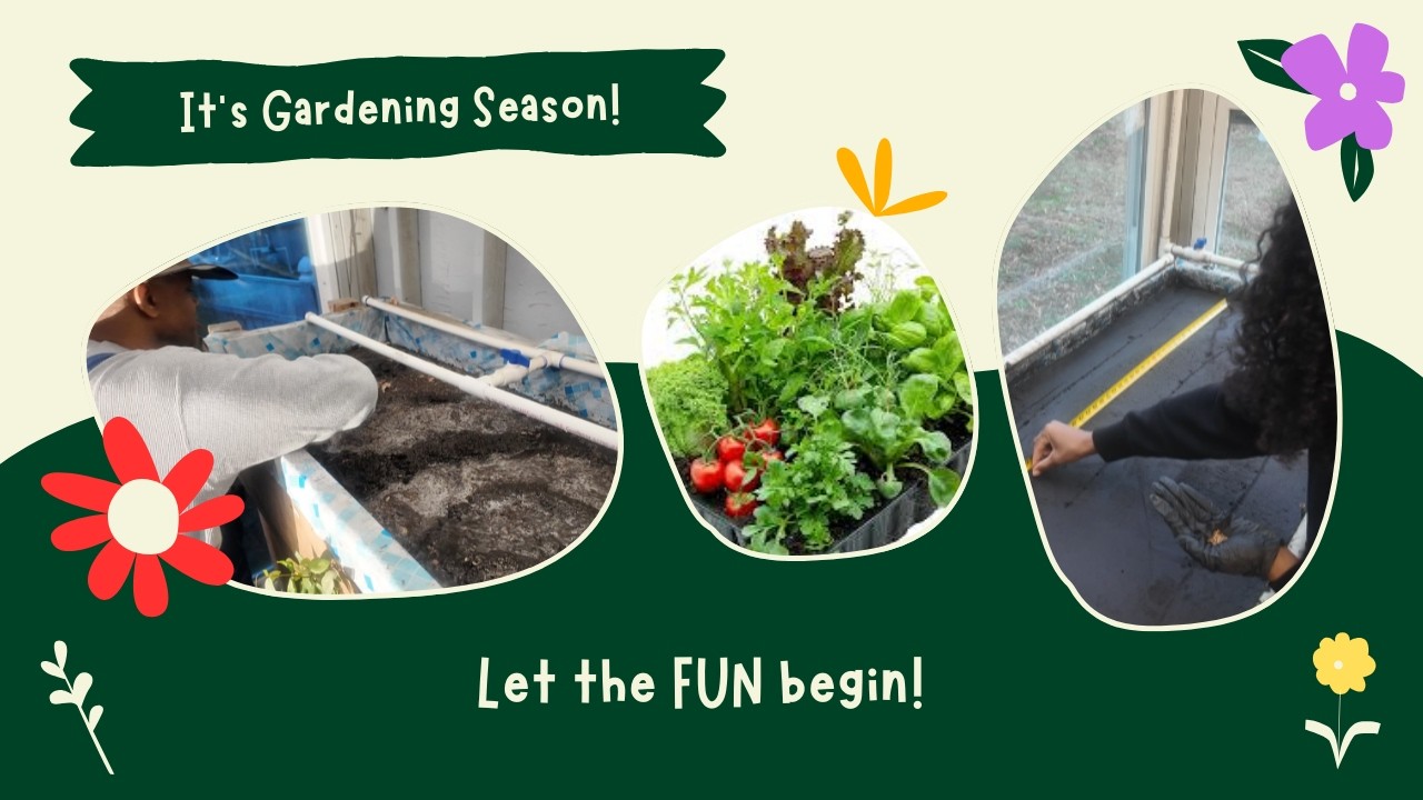 Want a bountiful harvest this year?? START NOW!! #garden #gardening #husbandwife #marriage #fyp