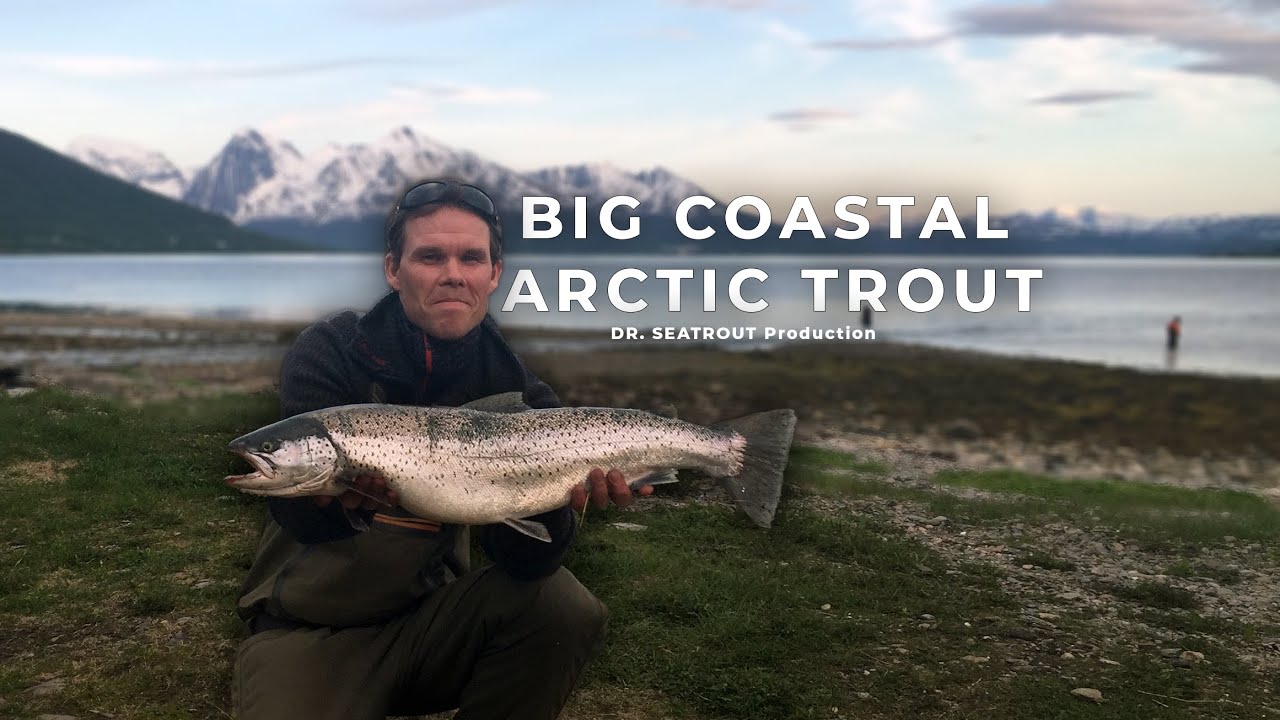 Flyfishing for big costal brown trout
