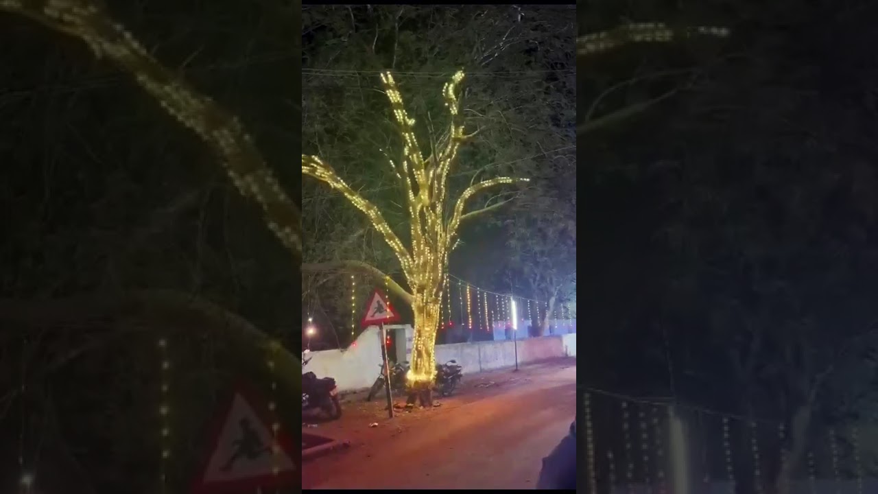 Pixel Led Lights /pixel led tree #pixel  #pixelledlights #pixelledindia #decoration #rlh #diwali