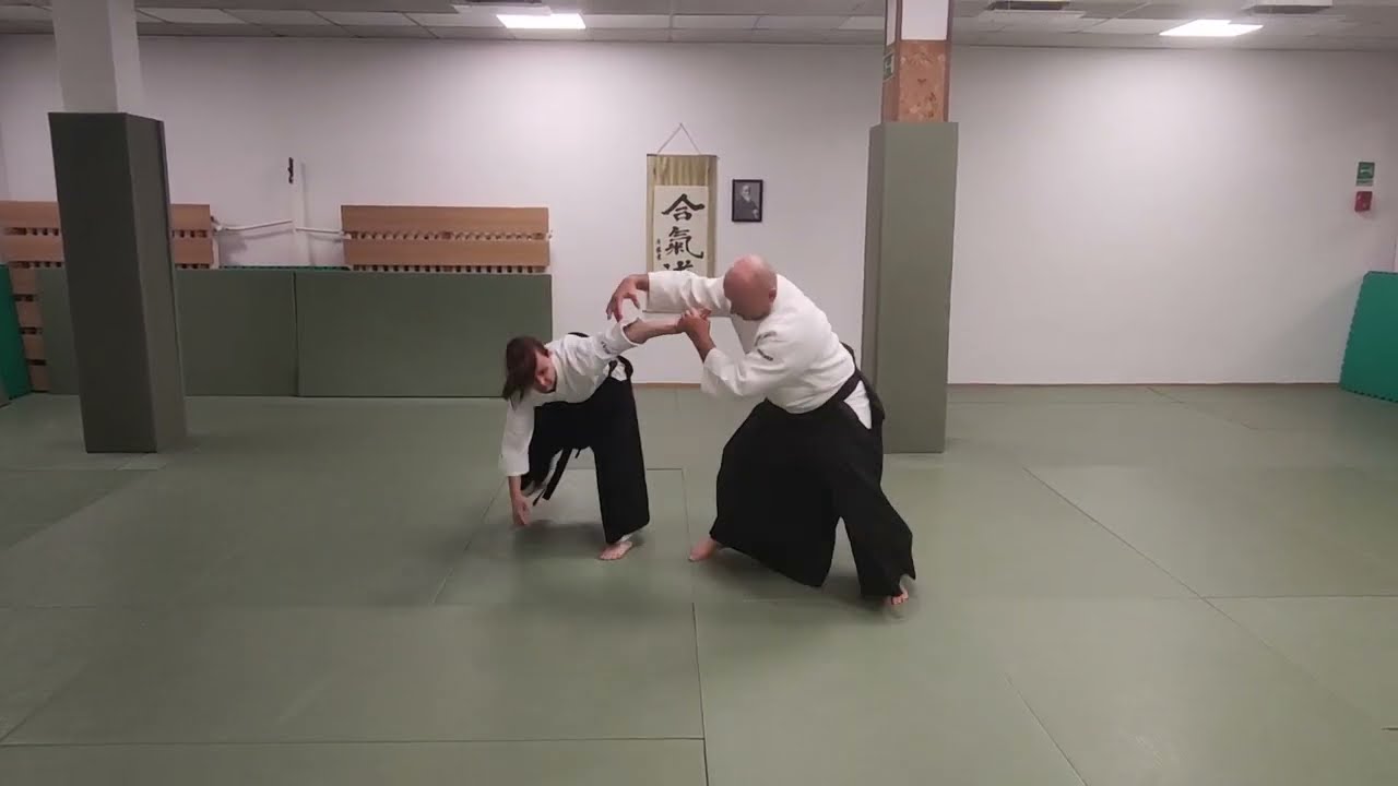 KIHON - YOKOMEN UCHI   NIKKYO