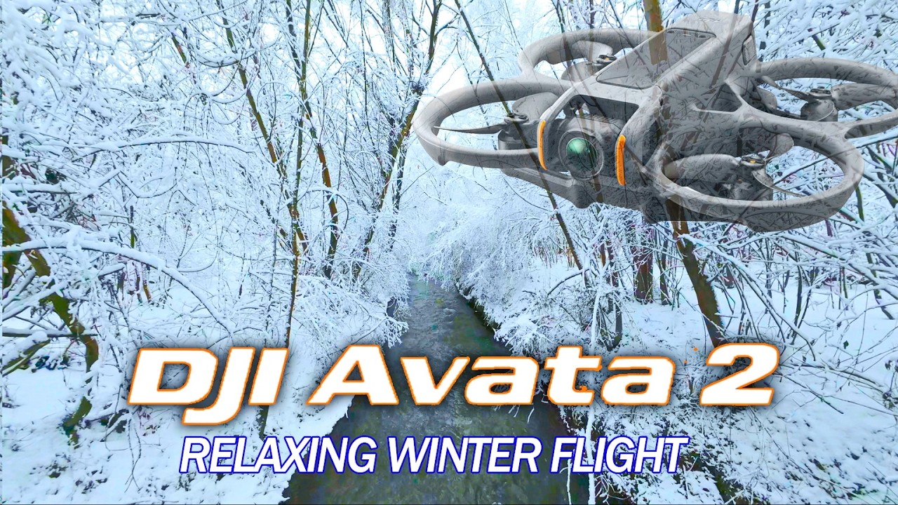 DJI Avata 2 | Cinematic Winter FPV Flight in Forest