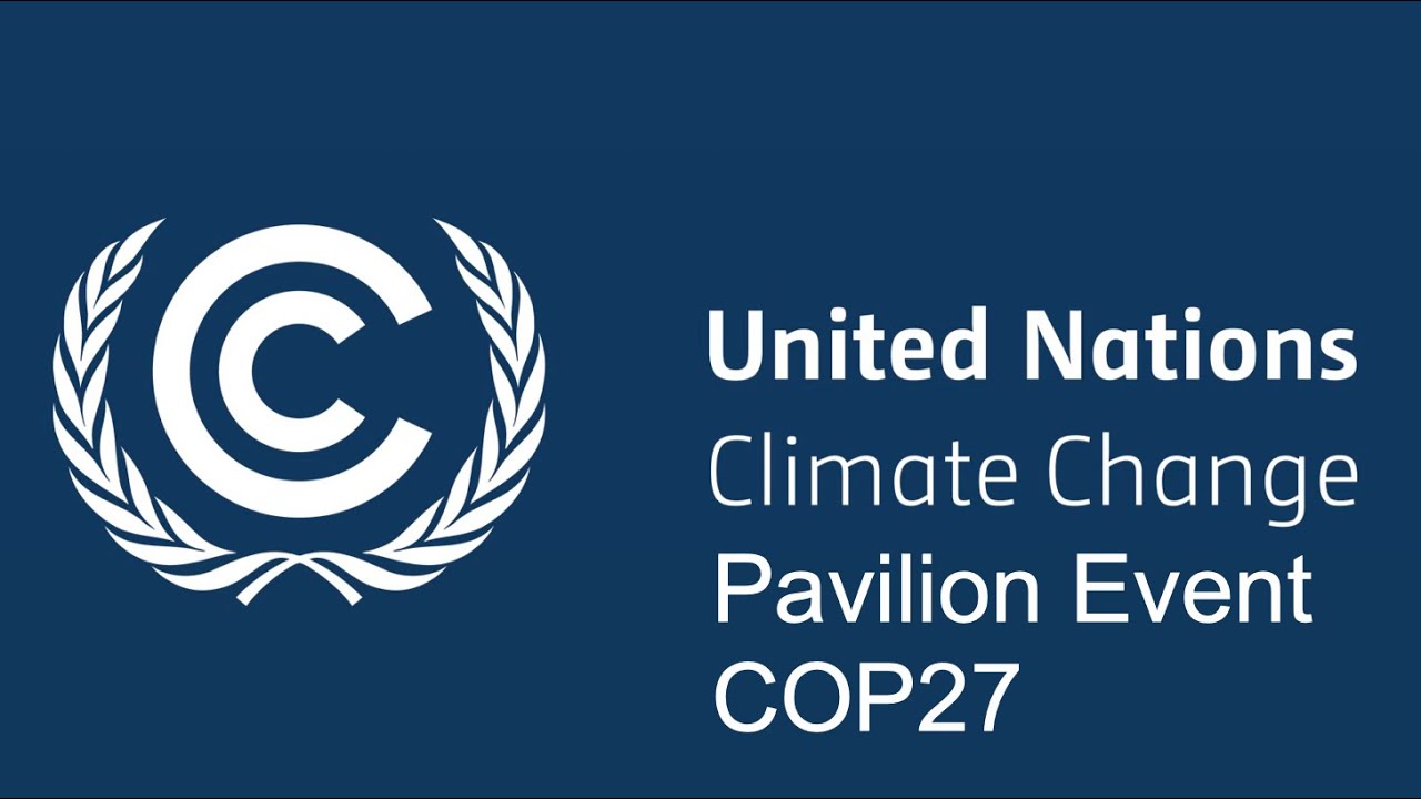 Launch of the Article 6 online Capacity Building course, COP 27