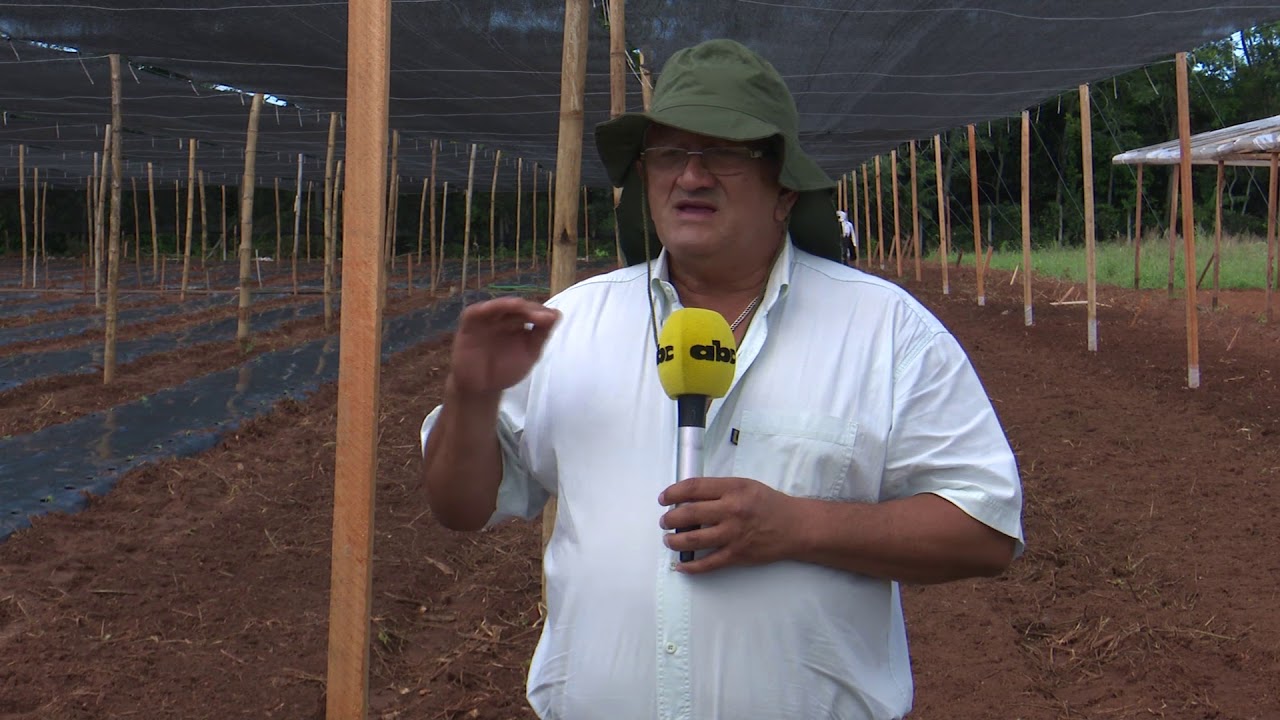 Manejo del suelo en horticultura