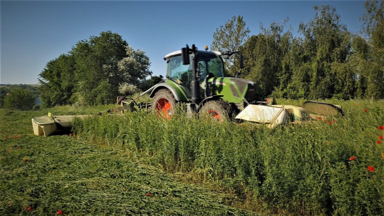 Lucerna kaszálás, bálázás