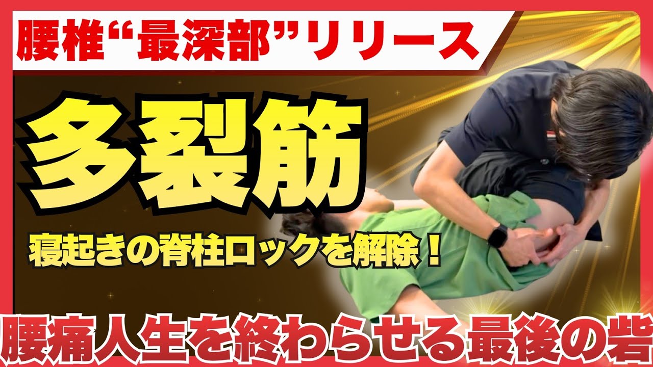 【腰痛シリーズ】多裂筋の6つの走行形態を理解して、多裂筋にどうアプローチか？慢性腰痛施術で劇的変化を求める先生へ！評価からアプローチまでの全てを解説！#整体 #整体師 #整骨院 #腰痛 #多裂筋