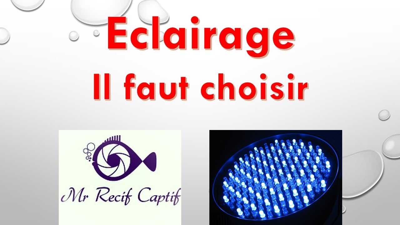 Choix d'eclairage - Mr Recif Captif #83
