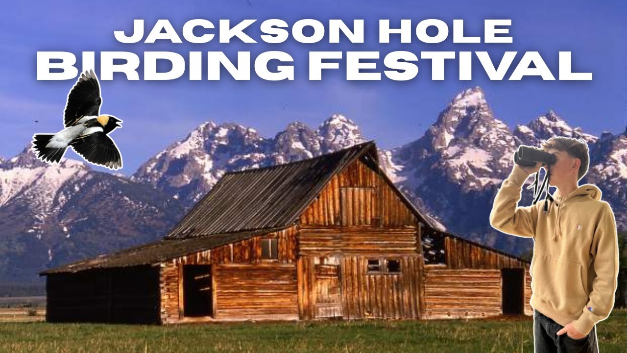 Birding the Tetons | Highlights from the Jackson Hole Birding Festival