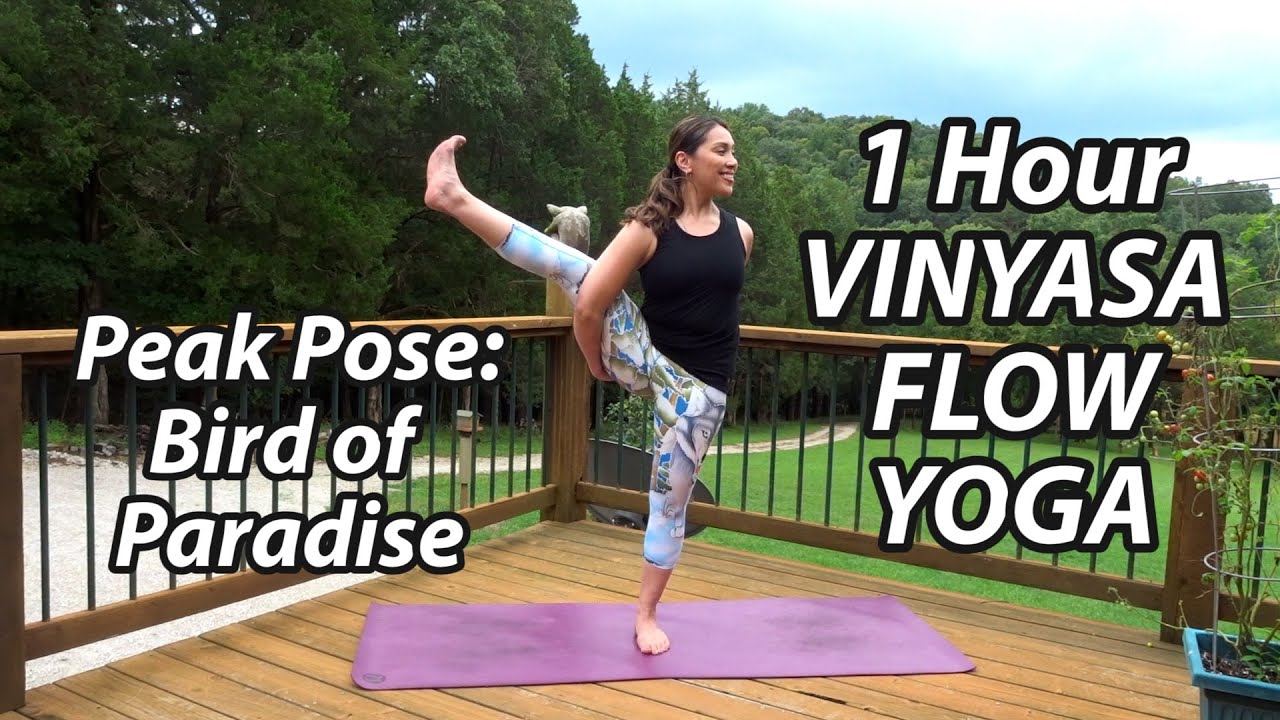60 Minute Vinyasa Flow Yoga to Bird of Paradise 🦅 Improve Overall Balance & Focus (Intermediate)