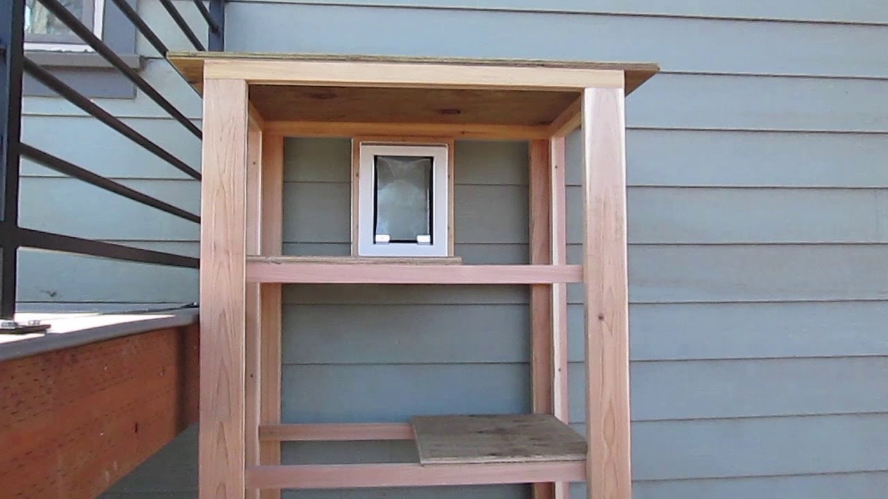 Easy DIY Catio (Outdoor Cat Enclosure)