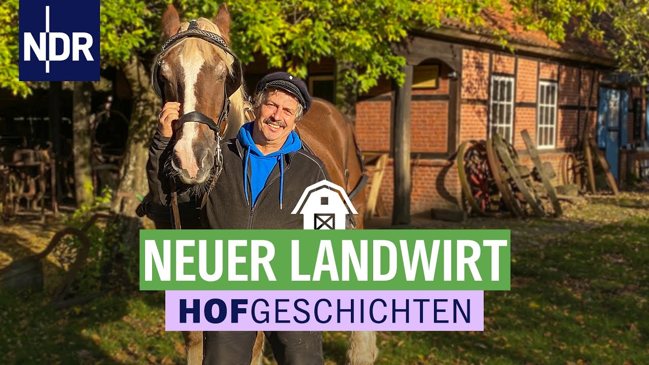 Ackern wie vor 100 Jahren – Kaltblüter im Museumsdorf | Hofgeschichten (156) | NDR auf’m Land