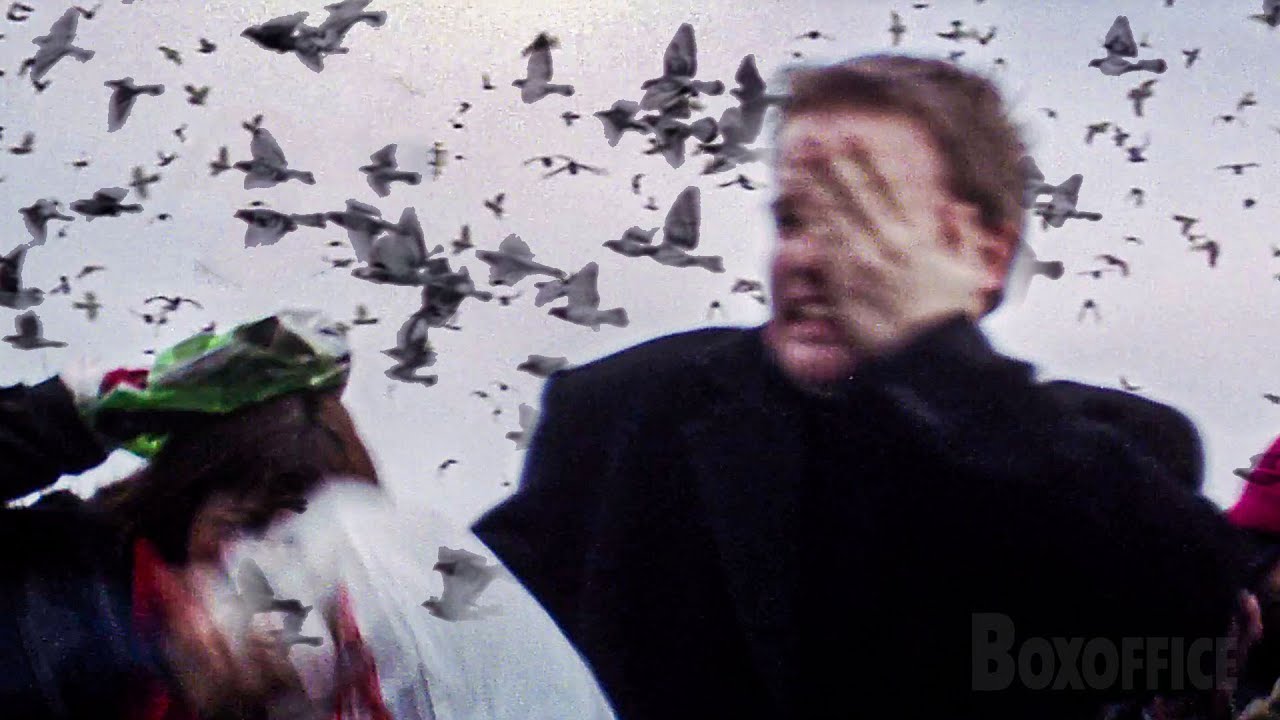 Birds Attack | The Core | CLIP