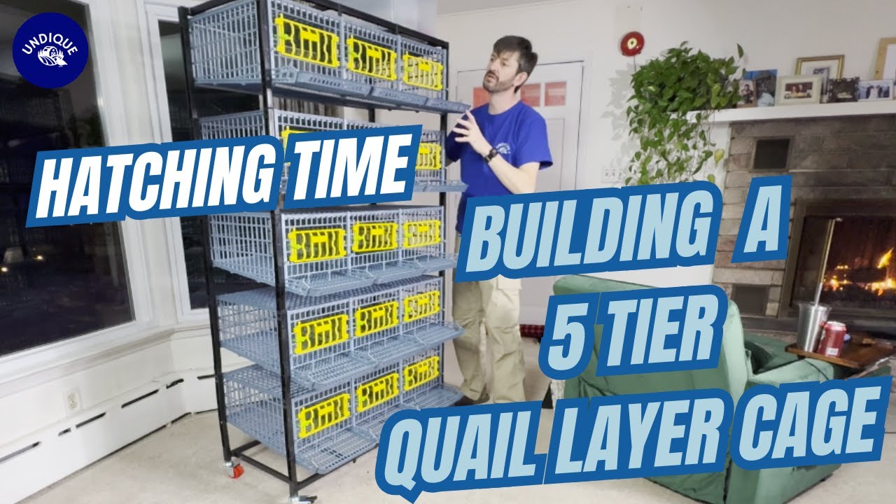 🚀 Building the Hatching Time Quail Layer Cage 5 Tier – Step-by-Step Assembly Guide! 🐦🥚