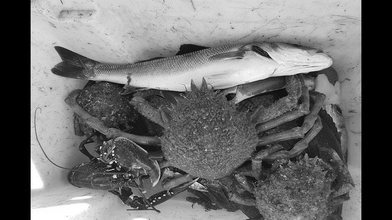 VLOG : SORTIE EN MER #11 /UNE SACREE PECHE !/