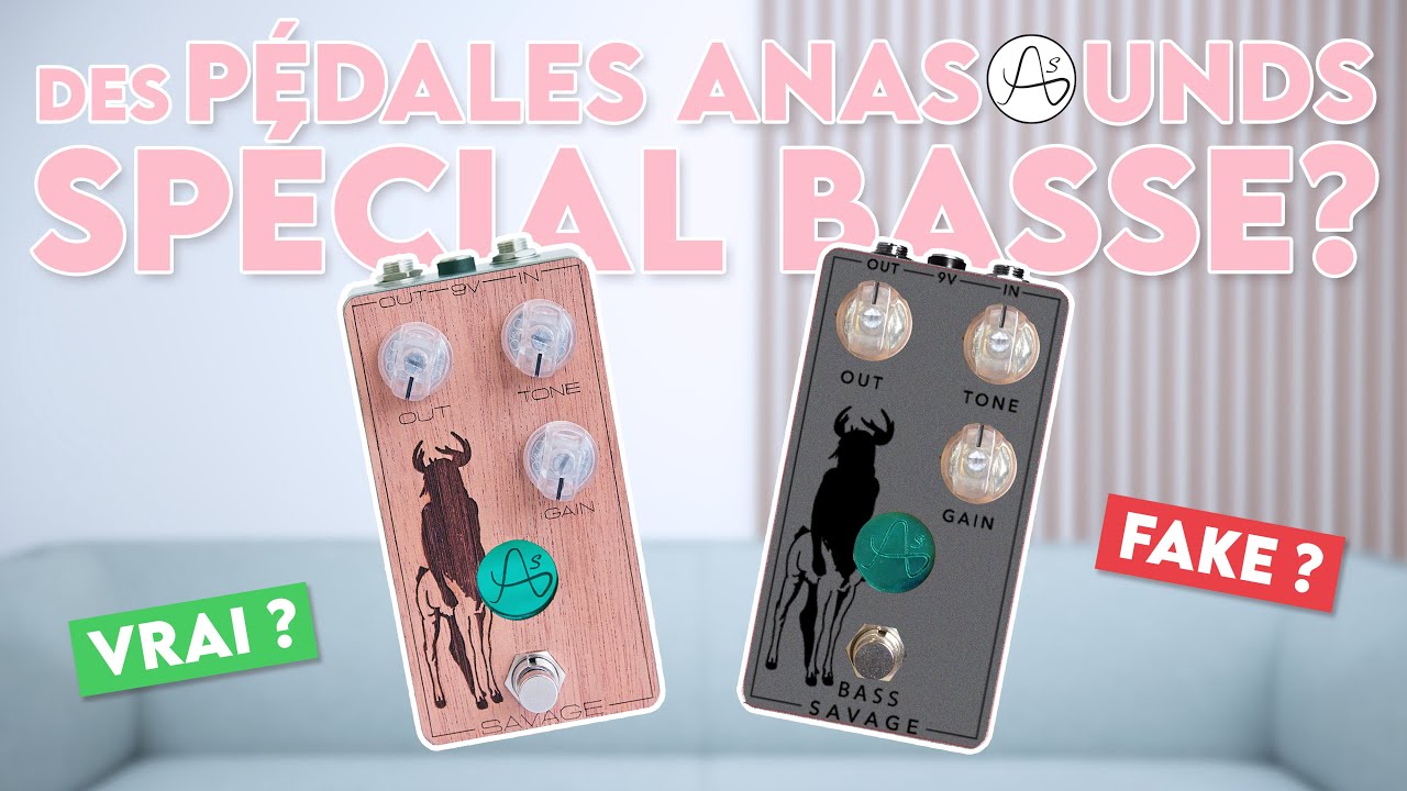 GUITAR PEDALS on BASS? Let's check it out with @AnasoundsPedals...