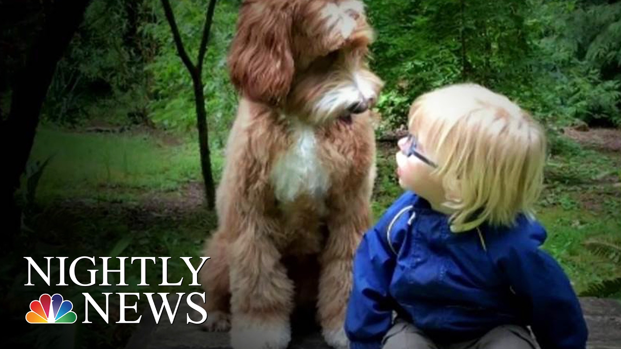 Oregon Foster Child’s Friendship With Dog Is Viral Internet Sensation | NBC Nightly News