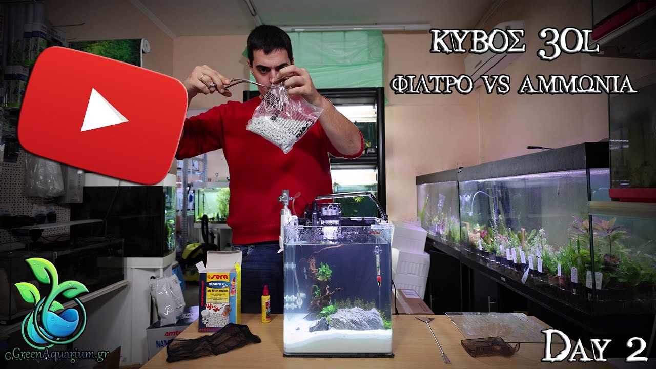 GreenAquarium.gr - Ενυδρείο 30L - 2η μέρα - Αμμωνία και φίλτρανση 4K