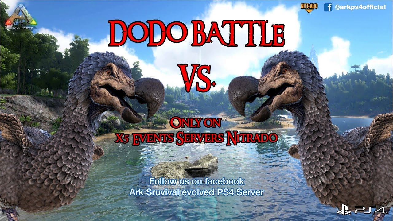 Dodo Battle