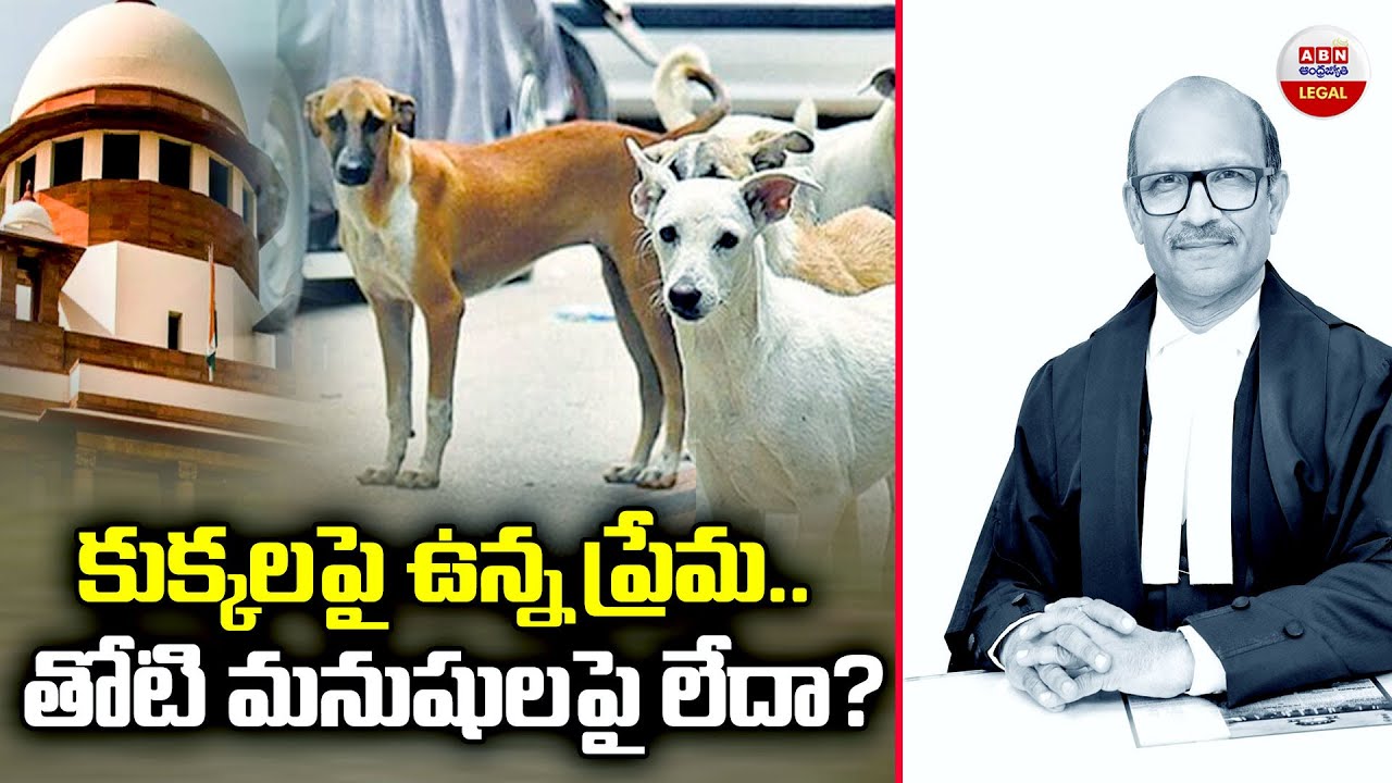 Love for dogs..or for fellow humans? | Supreme Court Serious On Street Dog Feeders | ABN Legal