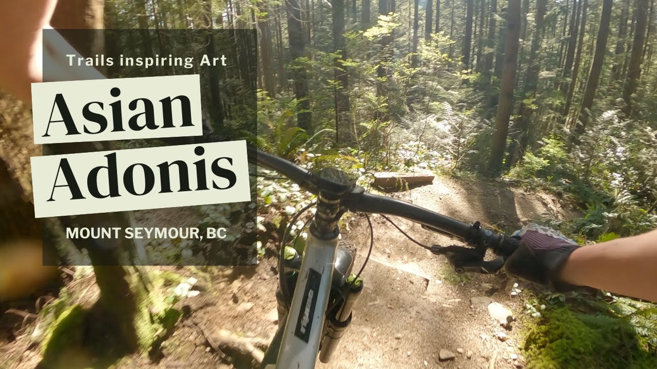 Trails inspiring Art // Asian Adonis - Mount Seymour, BC