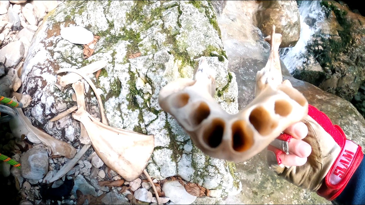 Canyoning in Italy -Vajo dell'Orsa 2025