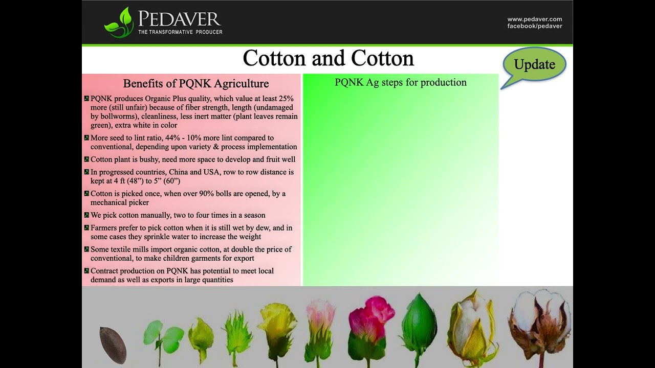 Cotton in Cotton - production of organic plus cotton with PQNK