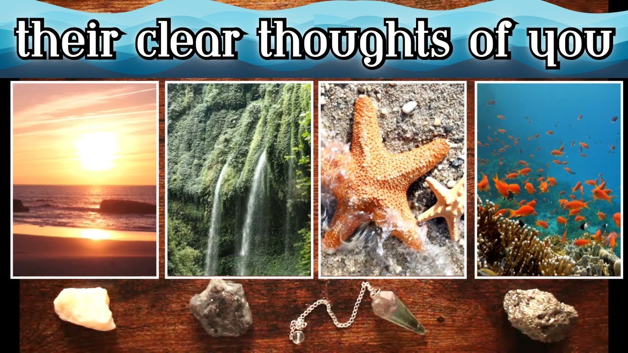 🌊 Their CLEAR THOUGHTS about YOU! 🌊 Pick a Card Tarot