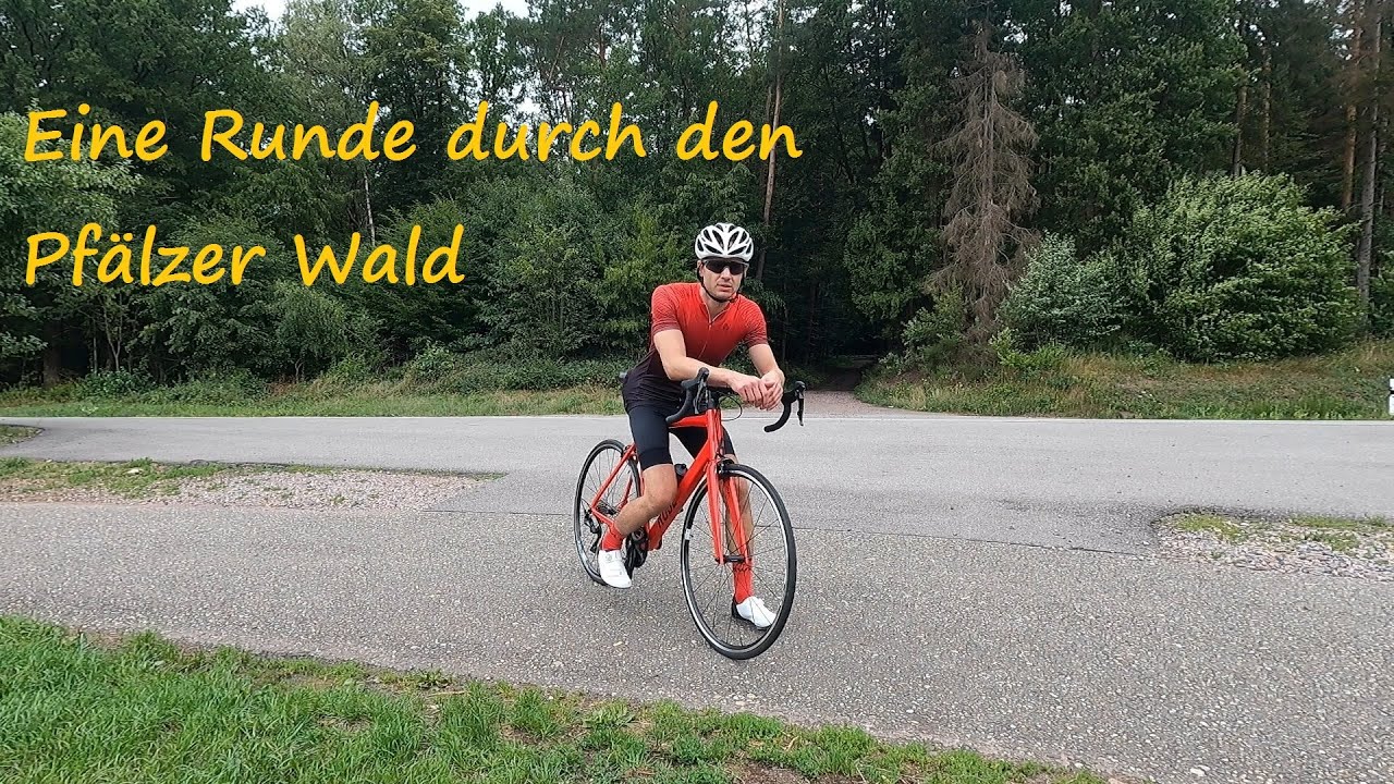 Mit dem Rennrad durch den Pfälzer Wald