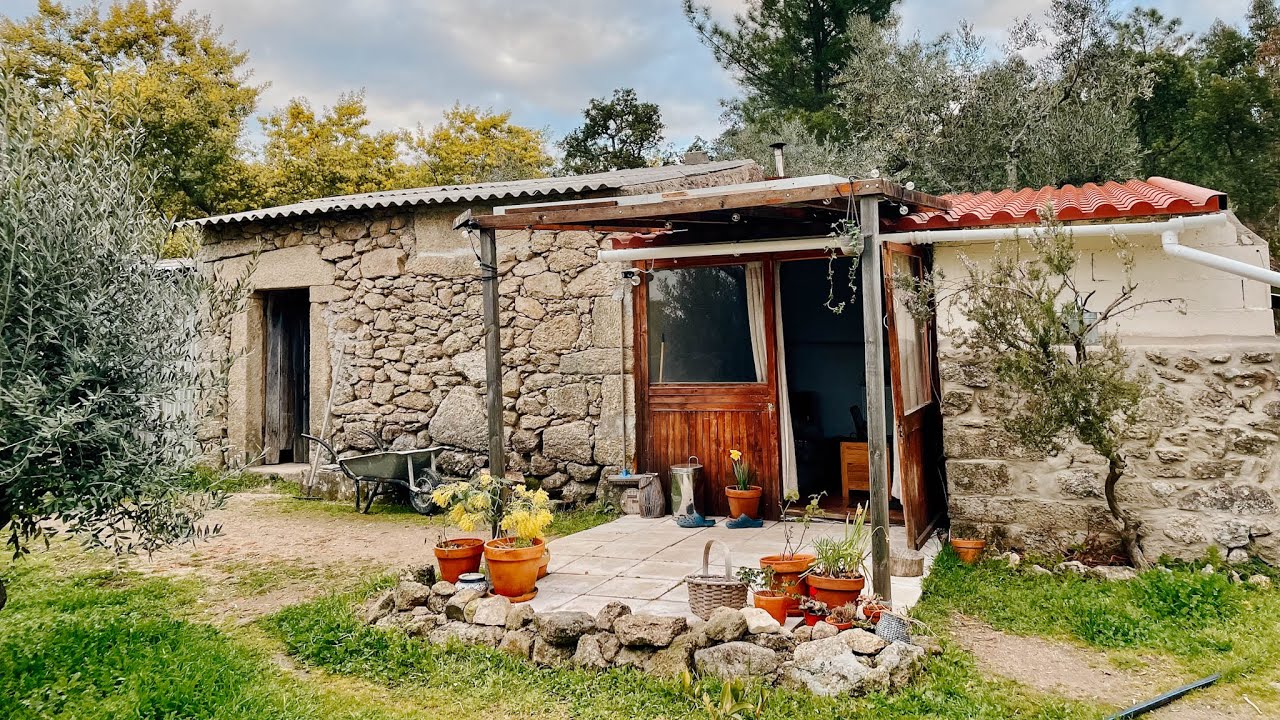 Getting our off Grid Cabin Cosy for Winter