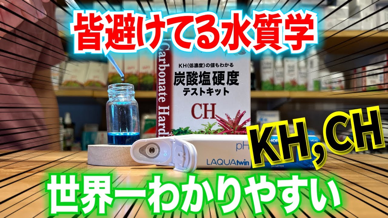 【水草が枯れる原因】水質管理にはKH,CHが重要！水槽も復活！〜アクアリウムin地球#58