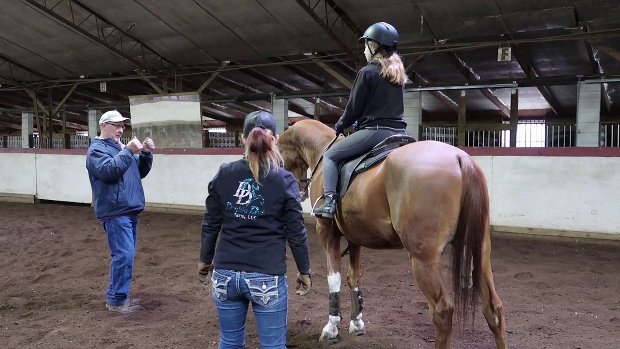 We Traveled to Ohio to Test Ride Three Saddle Seat Horses | AE Vlog