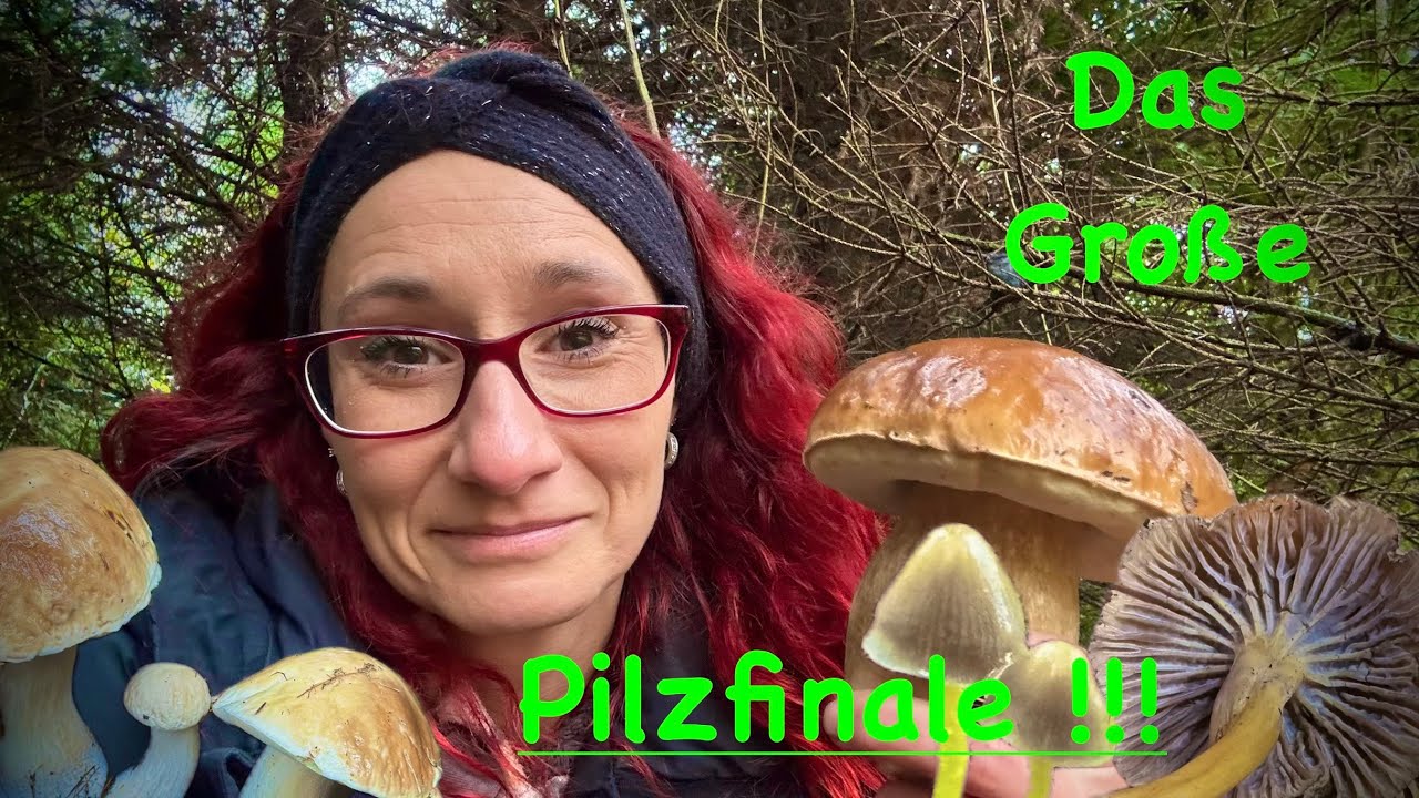 Noch einmal ohne Ende Steinpilze ! Das Beste vom Besten ! 🤩