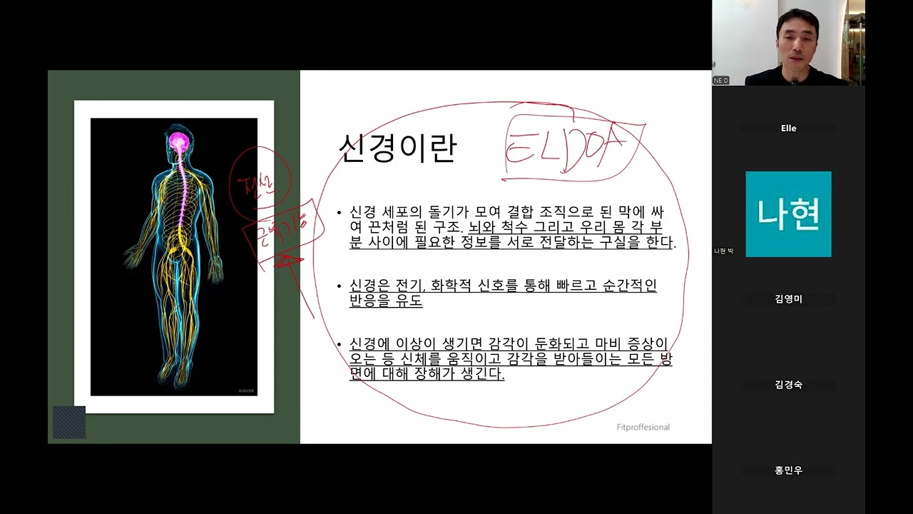 상완신경총(주간피트니스솔루션 29주차 )