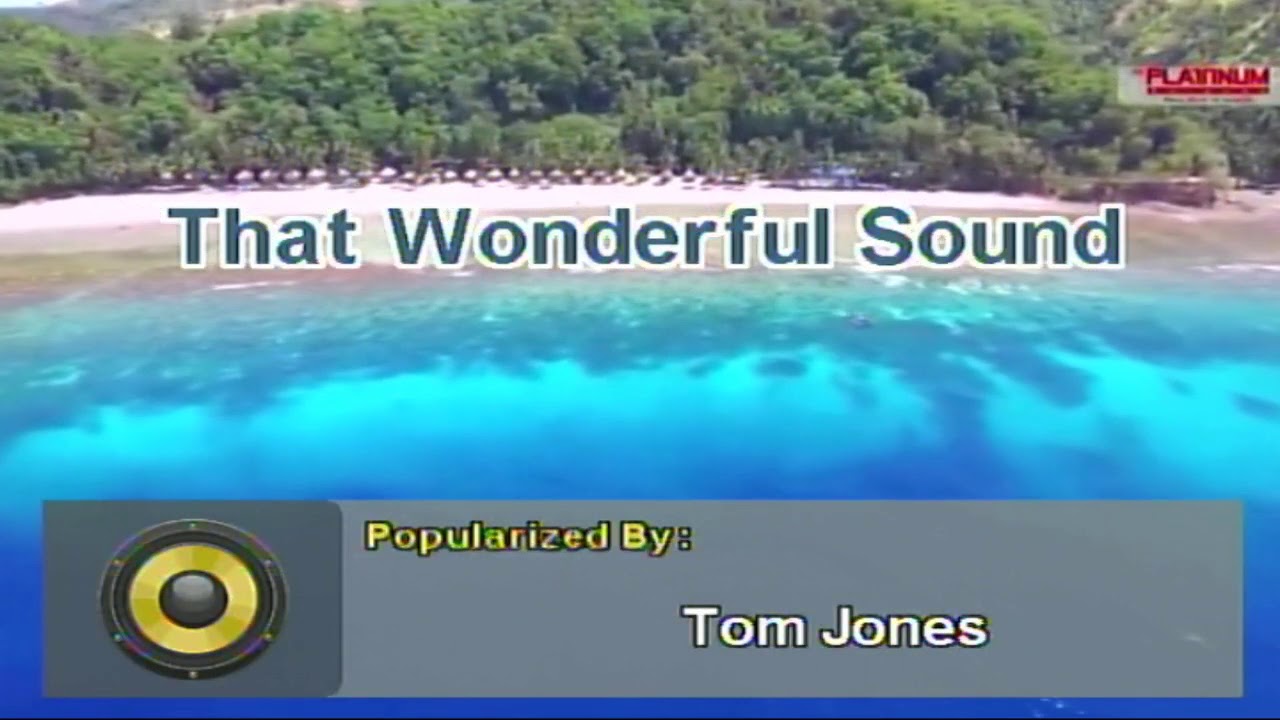 That Wonderful Sound - Tom Jones (Karaoke)