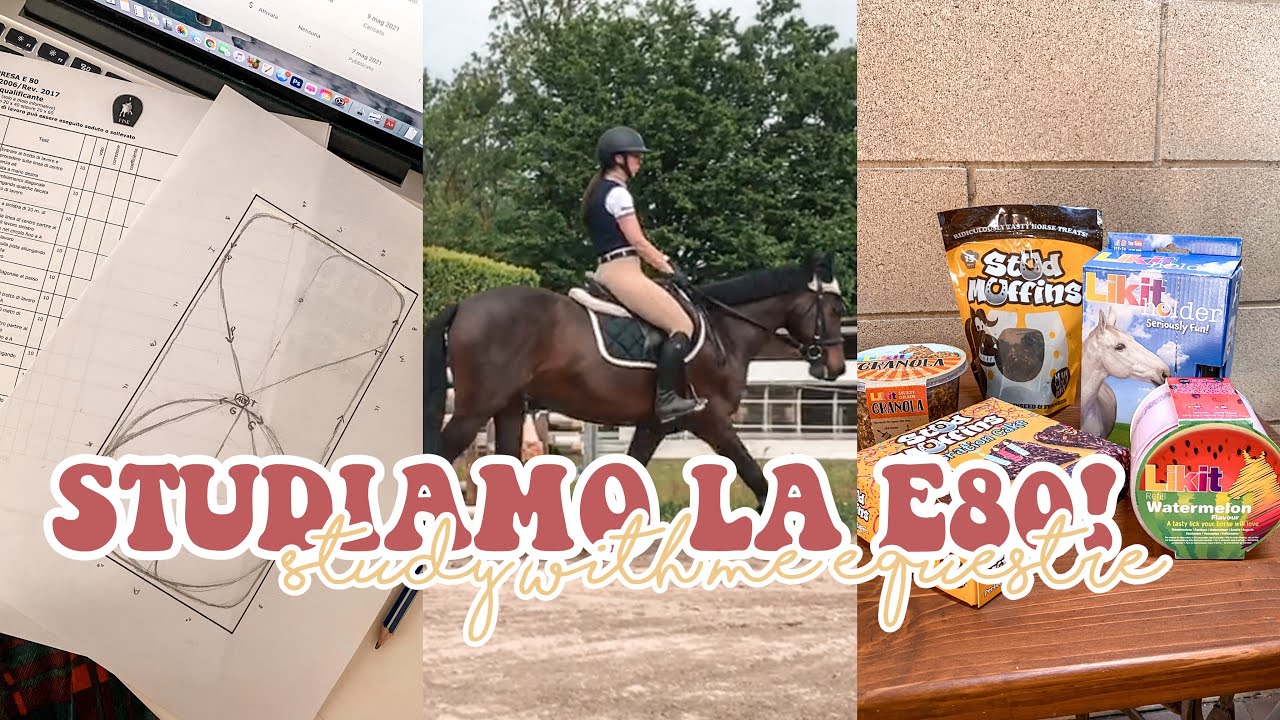 STUDY WITH ME EQUESTRE impariamo la E80 + commentiamo la E70! ✨