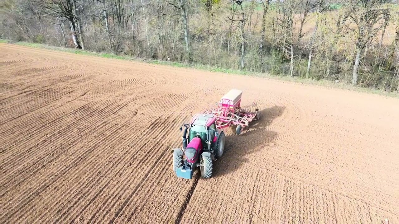 Semis d’avoine 💨