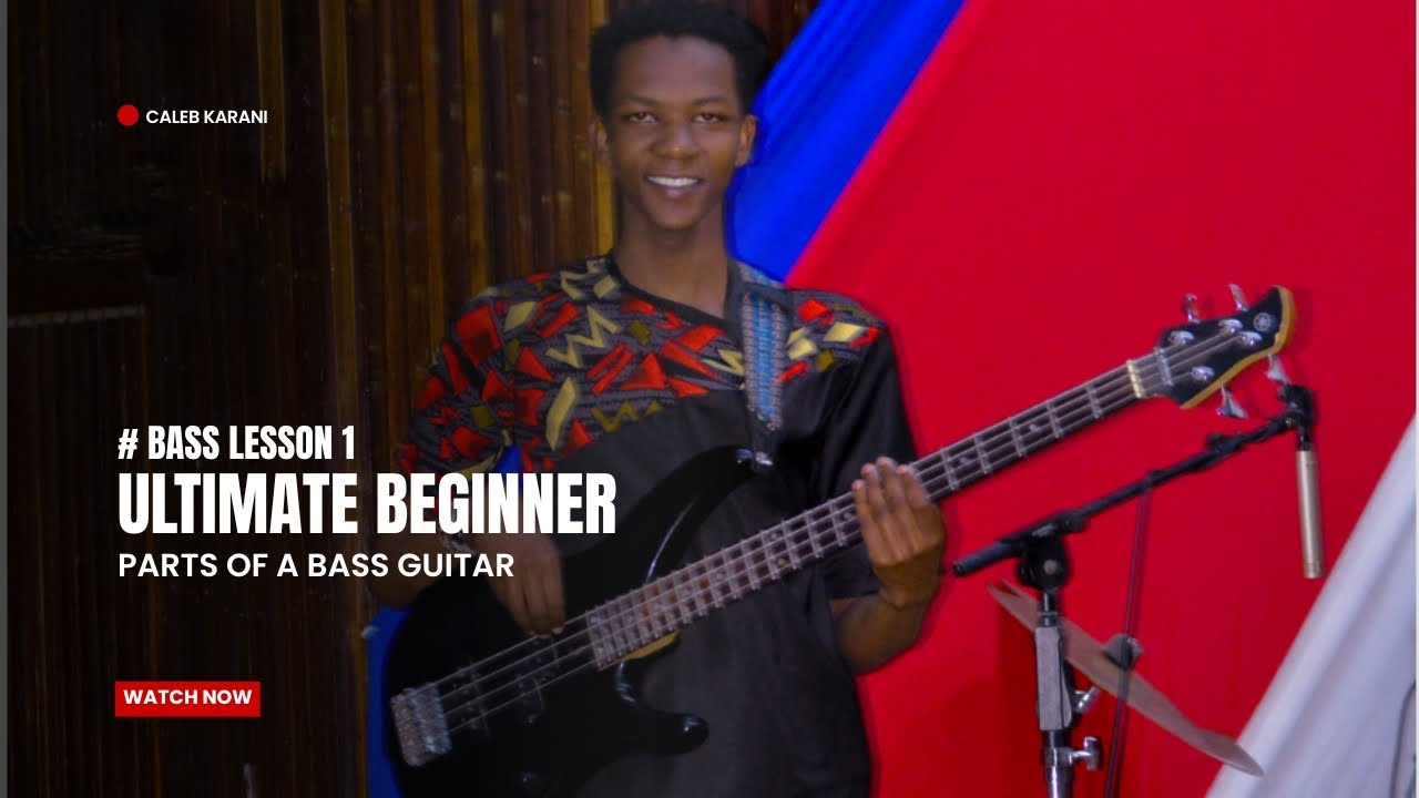 ULTIMATE BEGINNER BASS LESSON 1(PARTS OF A GUITAR) WHAT YOU NEED TO KNOW 🎸🎸