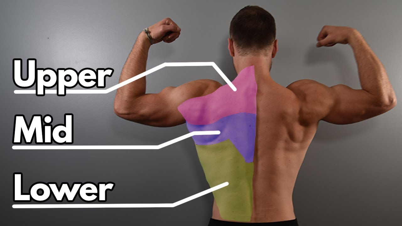 9 Back Exercises For A Strong Back With No Gym Equipment (At Home Workout)