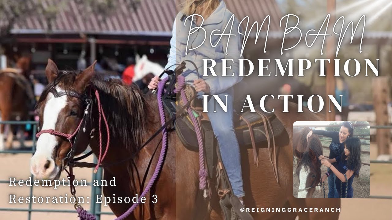 Hope and Healing Barn: Episode 3: Bam Bam