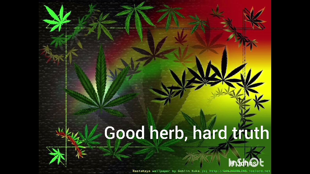 Good Herb, Hard Truth by HMOLO JOHNS #reggae #reggaemusic #reggaeton #reggaevibes 