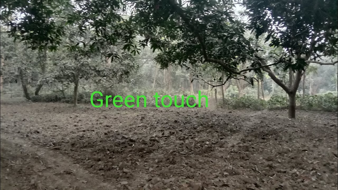 Plant hub