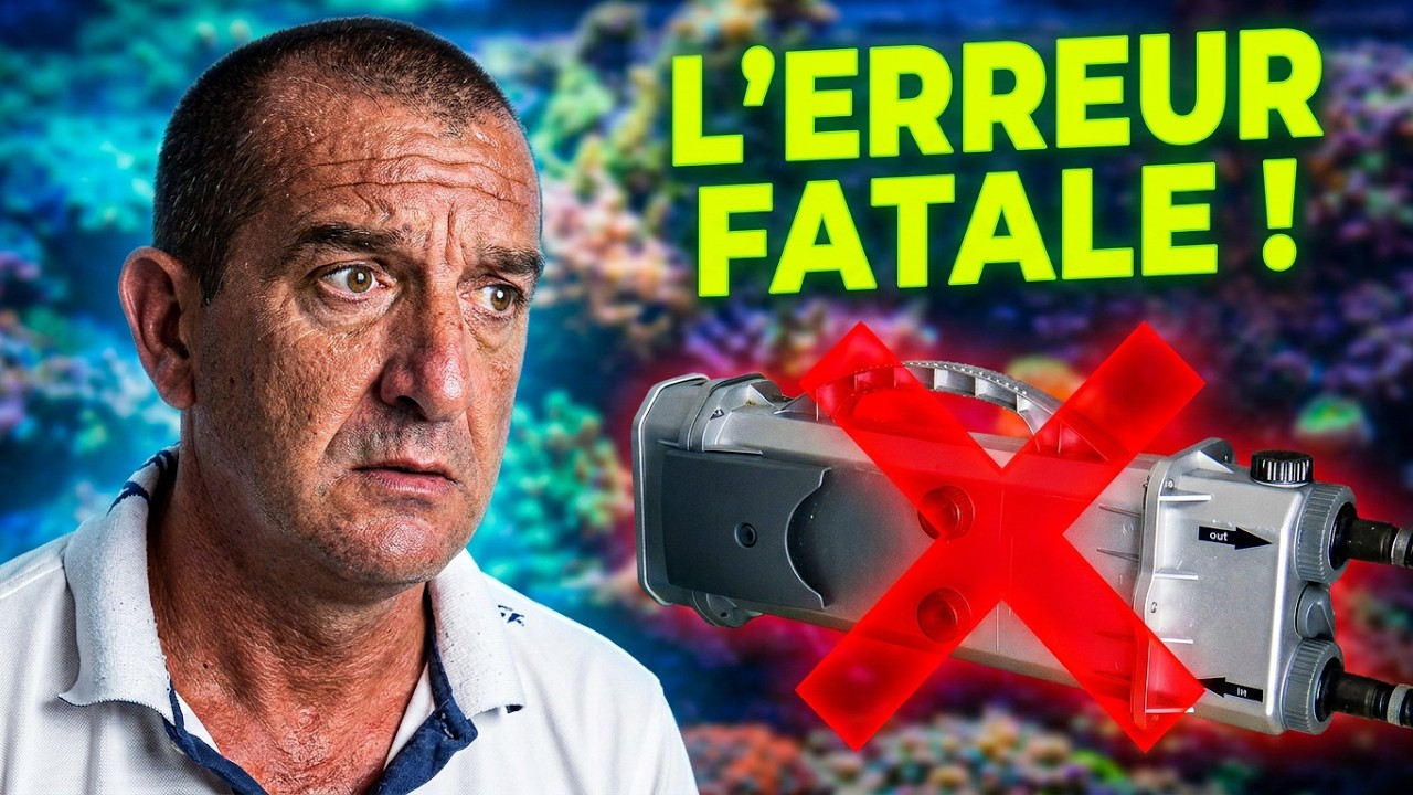 Pourquoi avez-vous besoin d'un filtre UV pour votre aquarium récifal