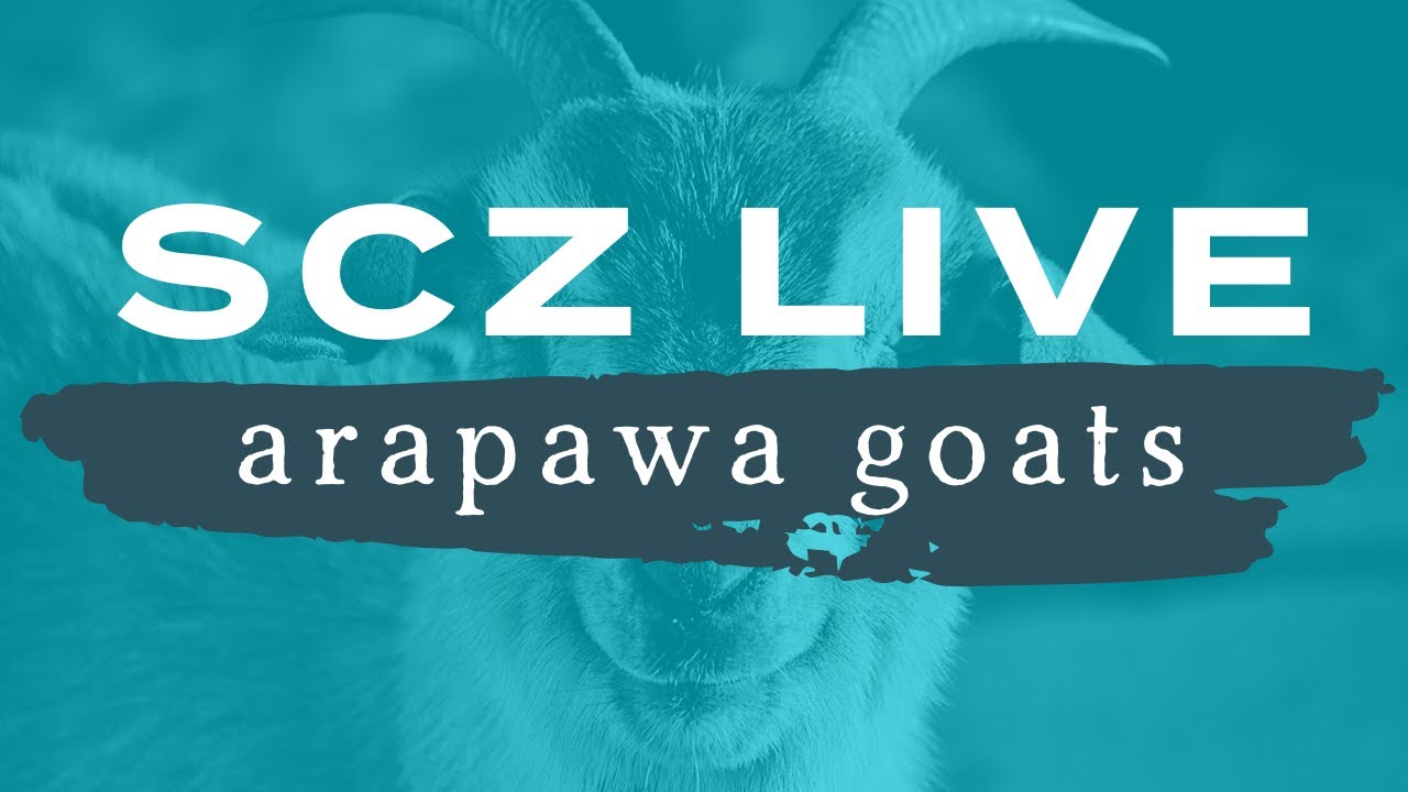 SCZ LIVE | Children's Farms